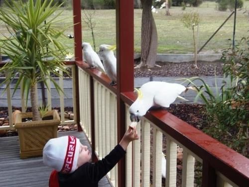 Halls Gap Valley Lodges Εξωτερικό φωτογραφία